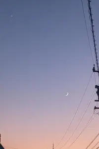 写メ日記 ぽむ 11/23(日) 22:48