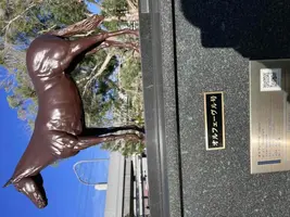 写メ日記 まこと 11/24(月) 11:01