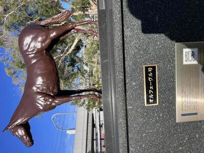 写メ日記 まこと 11/24(月) 11:01