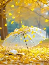 写メ日記 ともこ 11/25(火) 10:03