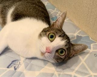 写メ日記 りりか 11/25(火) 16:25