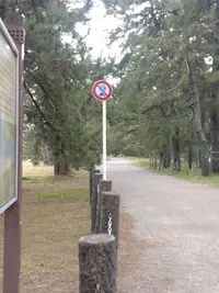 写メ日記 かえ 11/25(火) 22:58