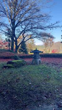 写メ日記 まりあん 11/26(水) 11:10