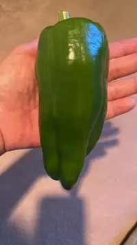 写メ日記 いまり 11/26(水) 11:18