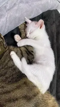 写メ日記 くいん 11/26(水) 18:49