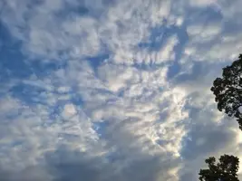 写メ日記 宮本恵美子 11/27(木) 10:44