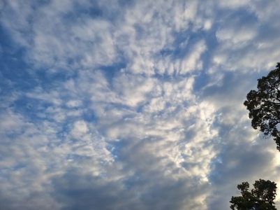 写メ日記 宮本恵美子 11/27(木) 10:44