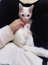 写メ日記 くいん 11/28(金) 16:32