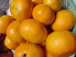 写メ日記 いろ 11/29(土) 08:57