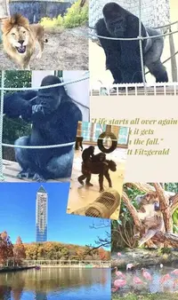 写メ日記 さくらこ 11/29(土) 18:27