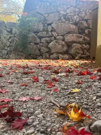 写メ日記 まりあん 12/3(水) 12:37