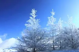 写メ日記 まなみ 12/4(木) 14:35