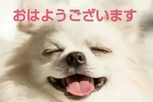 写メ日記 真野（まの） 12/7(日) 09:54