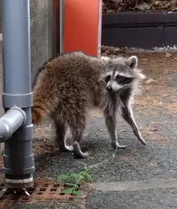 写メ日記 篠原尚美 12/8(月) 10:10