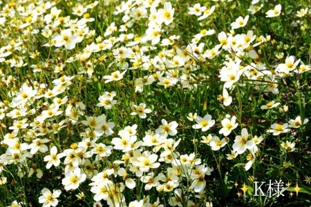 写メ日記 小山真帆 12/8(月) 18:38