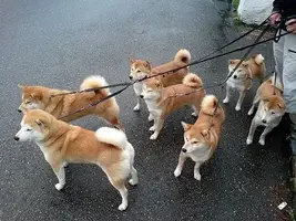 写メ日記 つかさ 12/9(火) 00:36