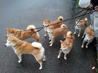 写メ日記 つかさ 12/9(火) 00:36