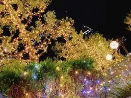 写メ日記 みき 12/9(火) 22:27