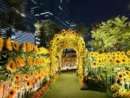 写メ日記 ここは 12/12(金) 00:57