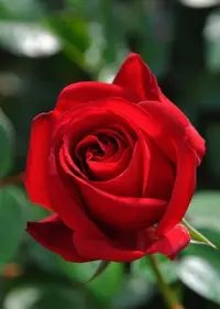 写メ日記 つかさ 12/12(金) 02:08