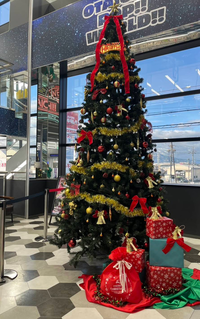 写メ日記 多田朱美 12/12(金) 08:09