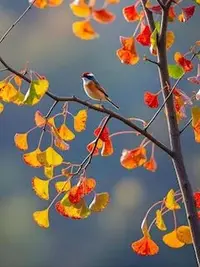 写メ日記 ともこ 12/12(金) 10:12