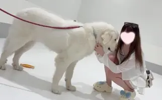 写メ日記 あられ 12/12(金) 17:38