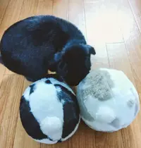 写メ日記 篠原尚美 12/12(金) 20:58