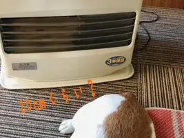 写メ日記 ちふゆ 12/13(土) 10:02