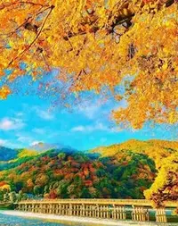 写メ日記 ともこ 12/13(土) 10:08