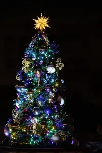 写メ日記 あおい 12/15(月) 01:15