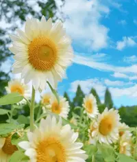 写メ日記 ここは 12/15(月) 12:18