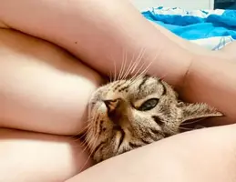 写メ日記 えま 12/15(月) 17:02