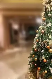 写メ日記 みずほ 12/15(月) 18:27