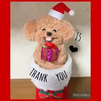 写メ日記 ありす 12/15(月) 19:50