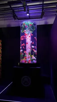 写メ日記 あおい 12/17(水) 15:39