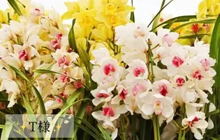 写メ日記 小山真帆 12/18(木) 19:58