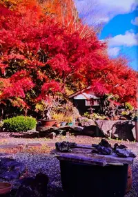 写メ日記 ひろ 12/19(金) 18:38