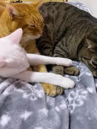 写メ日記 くいん 12/19(金) 21:06