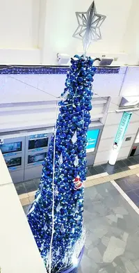 写メ日記 広川冬美 12/21(日) 17:39