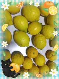 写メ日記 上杉あずさ 12/23(火) 10:58