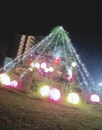 写メ日記 ぱぴこ 12/24(水) 20:31