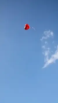 写メ日記 あおい 12/25(木) 11:32