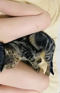 写メ日記 えま 12/25(木) 19:47