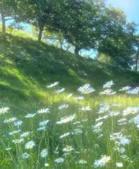 写メ日記 あおい 12/26(金) 19:24