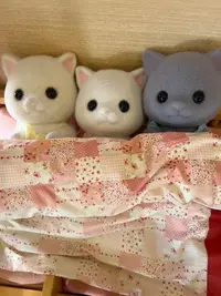 写メ日記 せい 12/26(金) 19:29