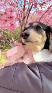 写メ日記 もえ 12/27(土) 10:54