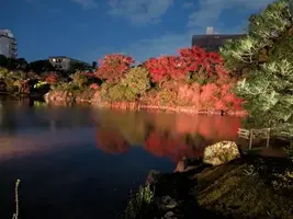写メ日記 めれんげ 12/28(日) 17:21