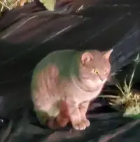 写メ日記 広川冬美 12/28(日) 23:12