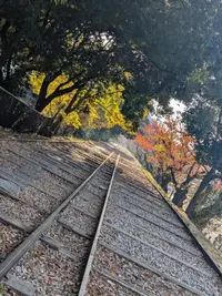 写メ日記 めれんげ 12/30(火) 03:45